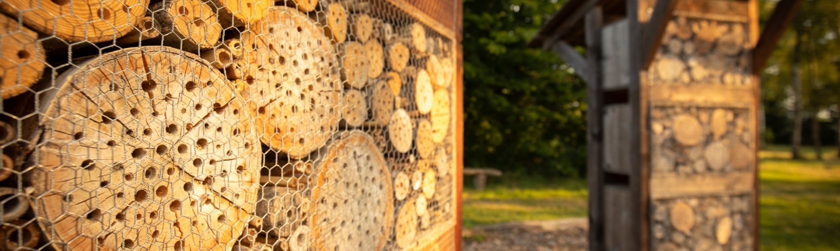 Ville d'Onex - Sensibilisation au développement durable