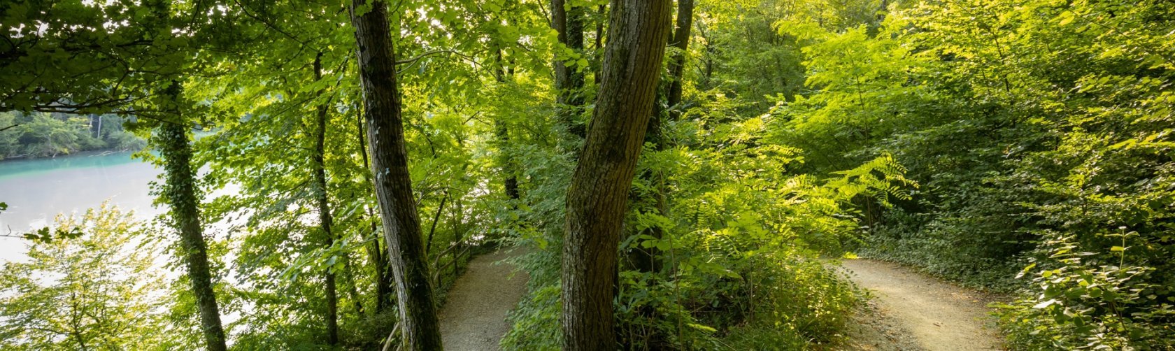 Ville d'Onex - Sentier didactique