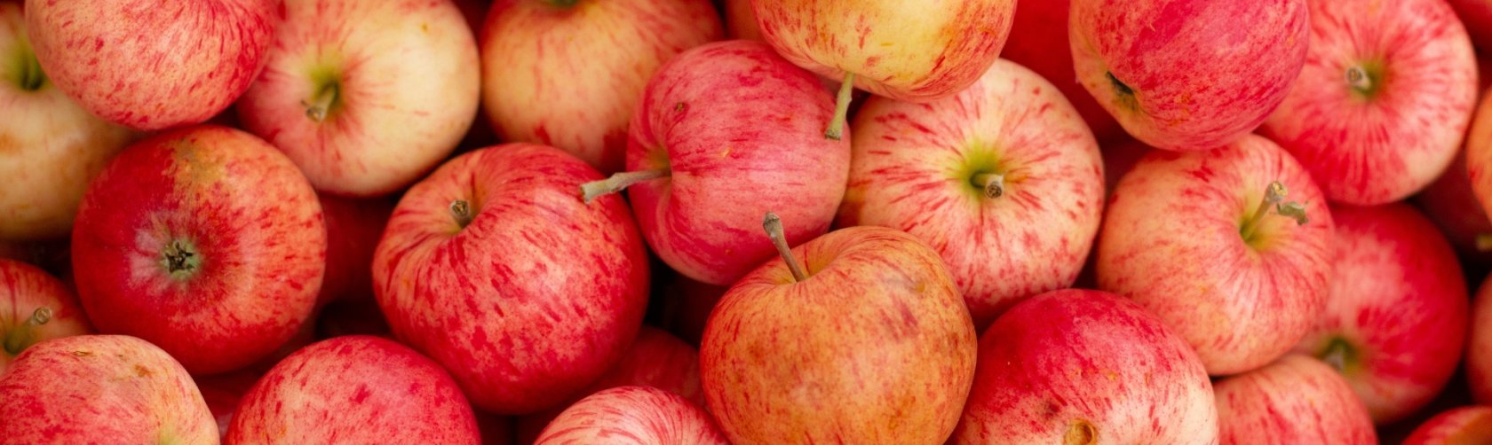 Ville d'Onex - Cornets alimentaires