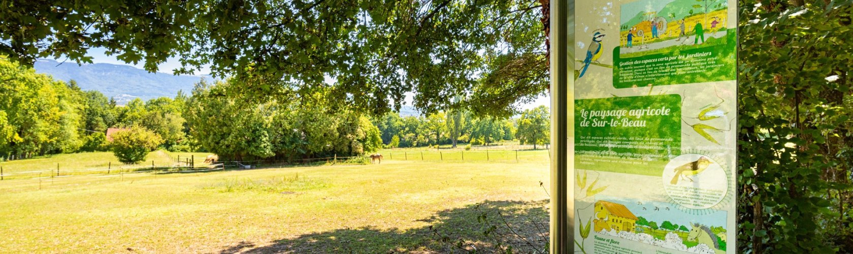 Ville d'Onex - Nature en ville