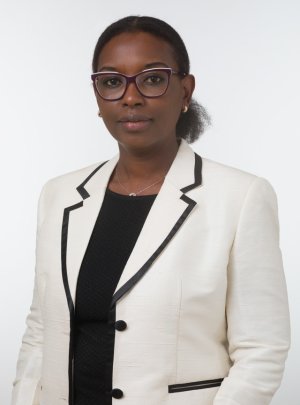 Conseil municipal - Mame Diop