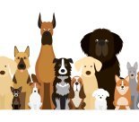 Ville d'Onex - Promener son chien