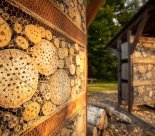 Ville d'Onex - Sensibilisation au développement durable