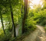 Ville d'Onex - Sentier didactique