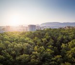 Ville d'Onex - Voie verte Bernex-Bâtie