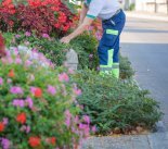 jardiniers espaces verts