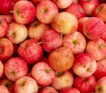 Ville d'Onex - Cornets alimentaires