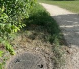 Réseau d'assainissement