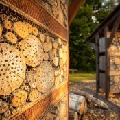 Ville d'Onex - Sensibilisation au développement durable