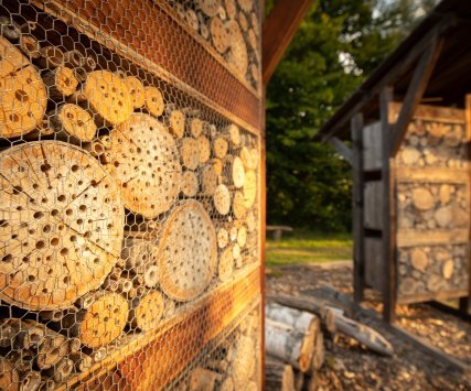 Ville d'Onex - Sensibilisation au développement durable